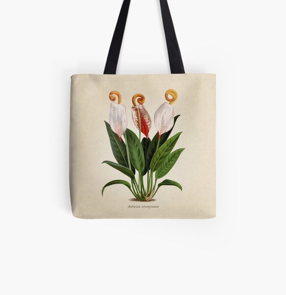 Anthurium scherzerianum old plate Bolsa estampada de tela