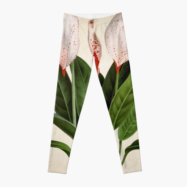Anthurium scherzerianum old plate Leggings