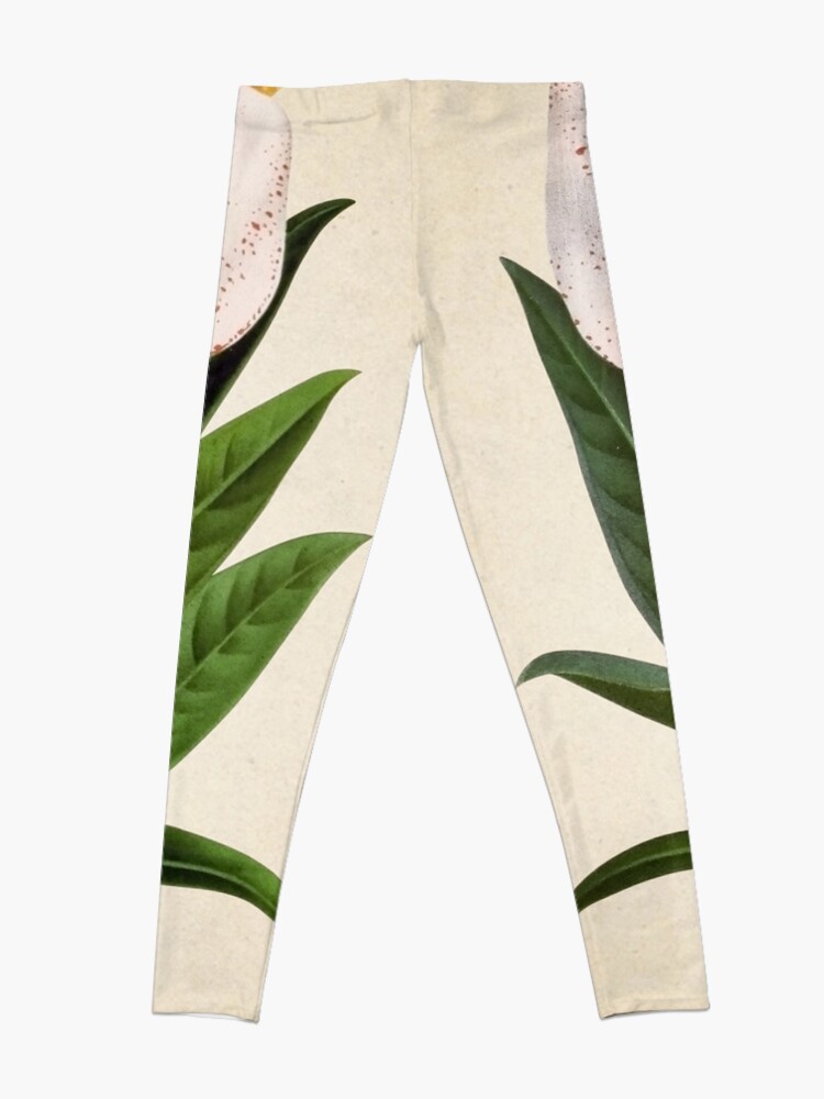 Vista alternativa de Leggings Anthurium scherzerianum old plate