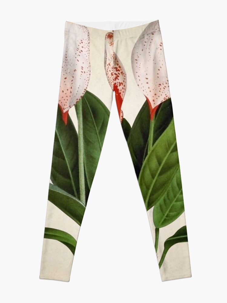 Vista alternativa de Leggings Anthurium scherzerianum old plate