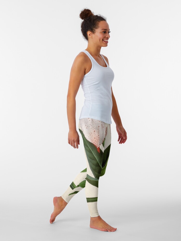 Vista alternativa de Leggings Anthurium scherzerianum old plate