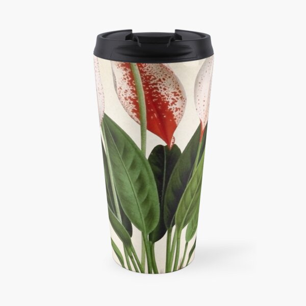 Anthurium scherzerianum old plate Taza de viaje