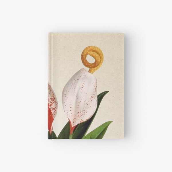 Anthurium scherzerianum old plate Cuaderno de tapa dura