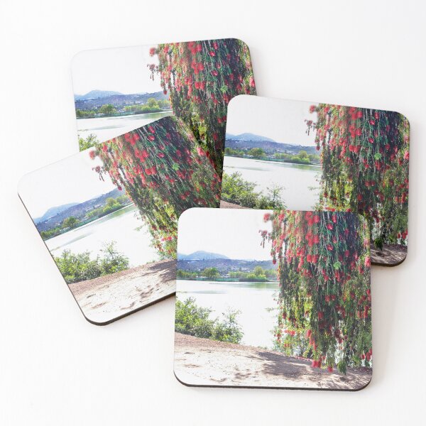 Item preview, Very Old Bottle Brush Tree designed and sold by heatherfriedman.