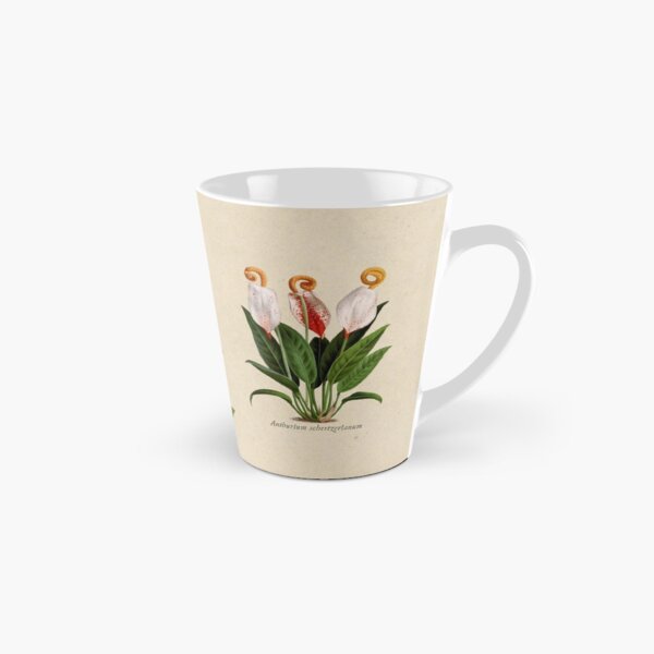 Anthurium scherzerianum old plate Taza cónica