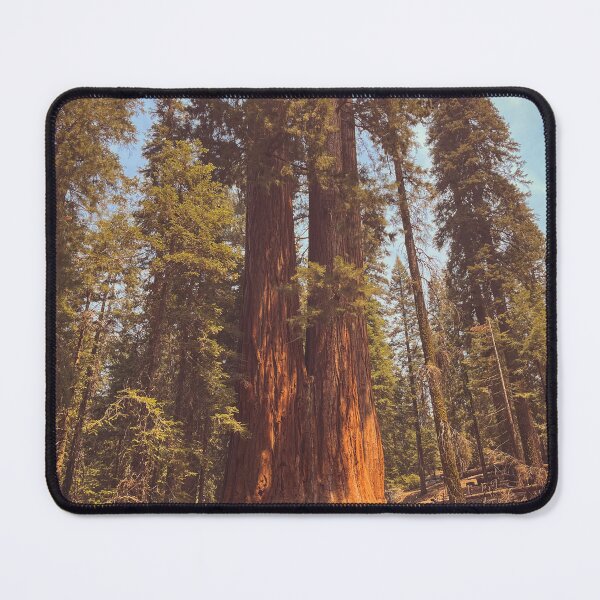 Item preview, Redwoods designed and sold by Mlhamblin.