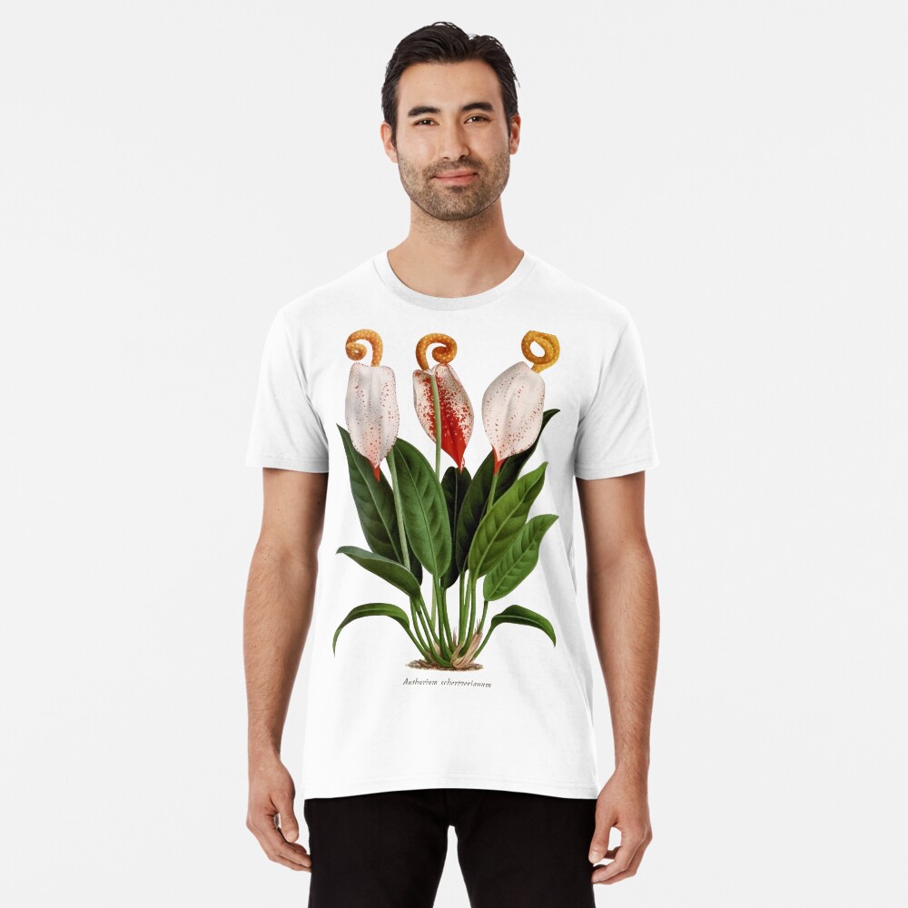Vista previa del artículo con la obra «Camiseta premium», diseñado y vendido por bibliotee.