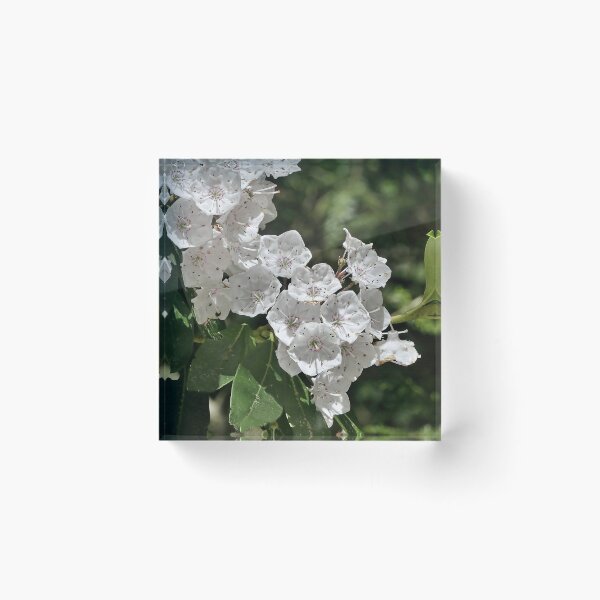 Item preview, Mountain Laurel designed and sold by Lanis Rossi.