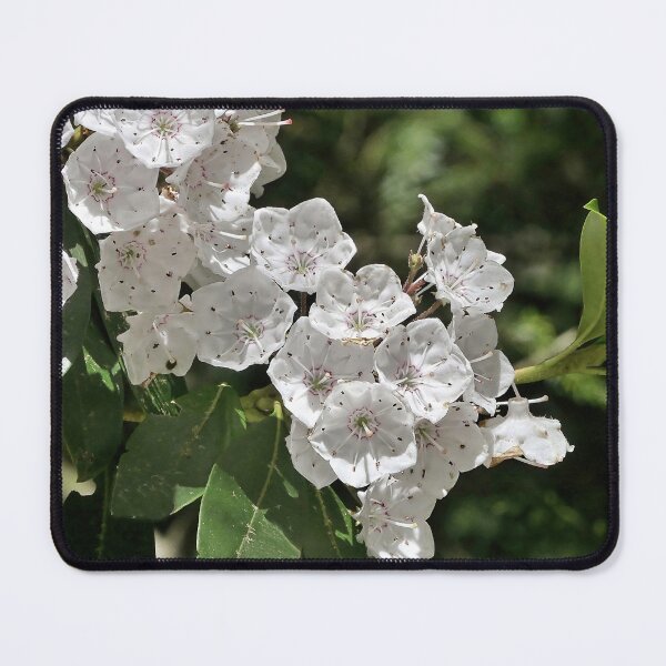 Item preview, Mountain Laurel designed and sold by Lanis Rossi.
