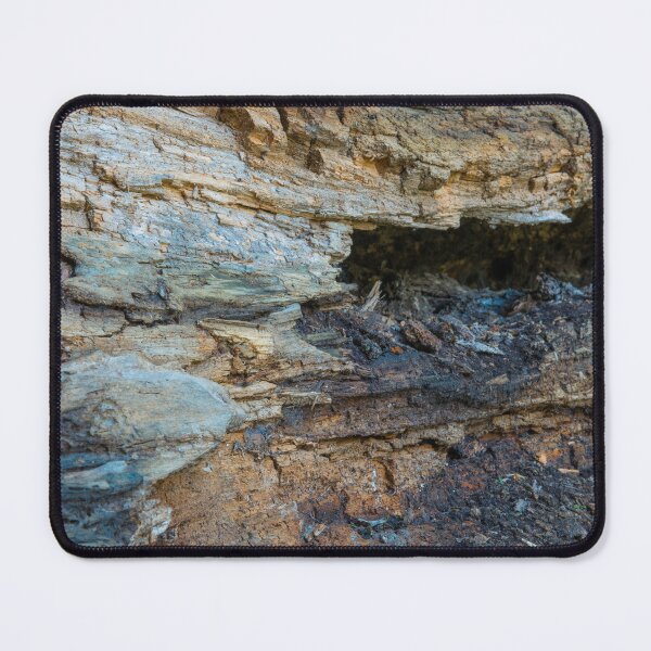 Item preview, Future Forest Compost designed and sold by Bill Spengler's Photographic Thoughts.
