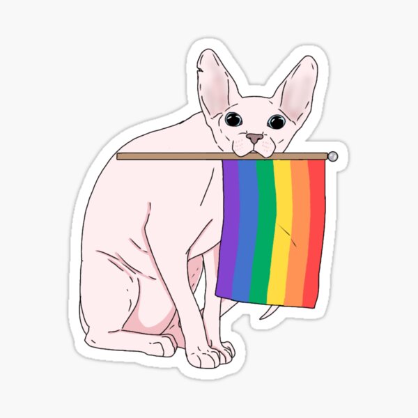 sphynx cat sweater pride lgbt Sticker for Sale by revioLATE