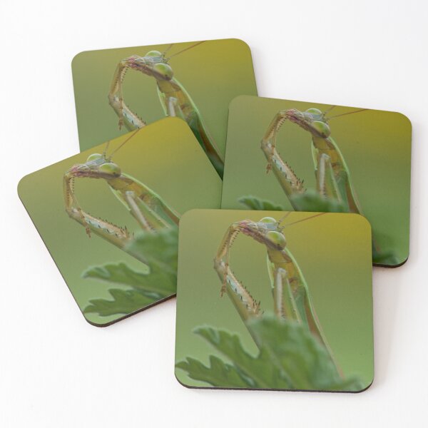 Item preview, Cleaning Up After Dinner designed and sold by Bill Spengler's Photographic Thoughts.
