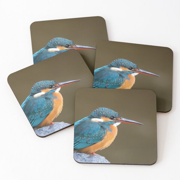 Item preview, Common Kingfisher in Japan designed and sold by LifeSpice.