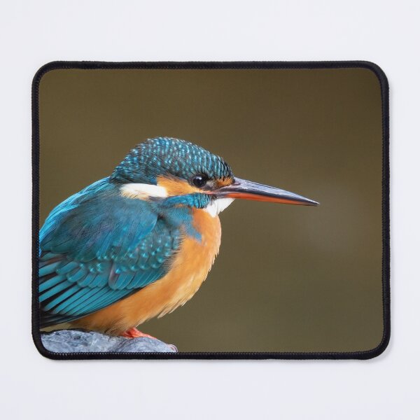 Item preview, Common Kingfisher in Japan designed and sold by LifeSpice.