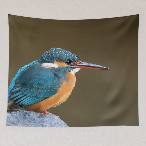 Item preview, Common Kingfisher in Japan designed and sold by LifeSpice.