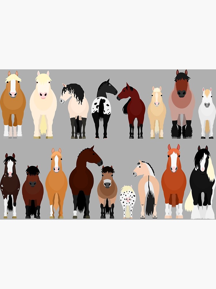 "Horse Breeds" Poster for Sale by refineryn1 Redbubble