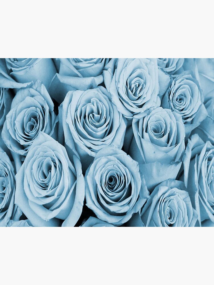 Lámina rígida «Hermosas rosas azules» de s-s-graphics | Redbubble