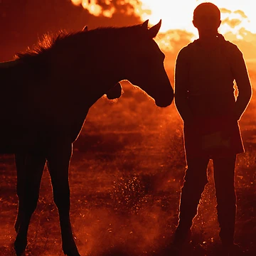 Artwork thumbnail, At Sunset ... by RoughDiamond