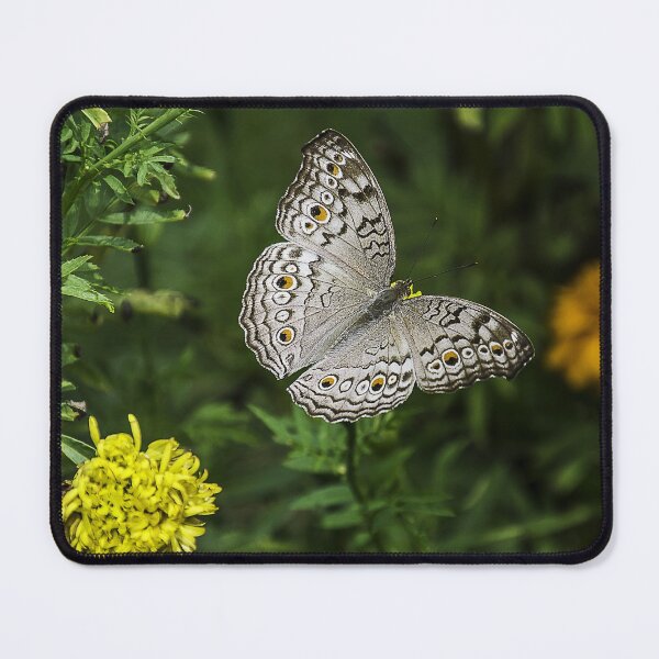 Item preview, Amazing Butterfly designed and sold by LifeSpice.