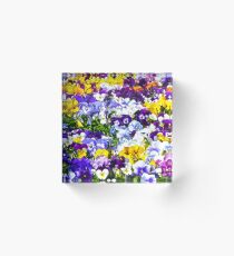 Pansies Pansies Pansies Acrylic Block