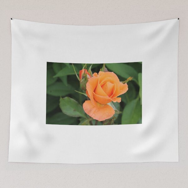 Item preview, roses designed and sold by rachariedel.