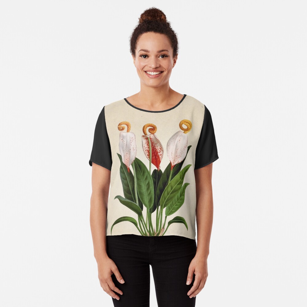 Vista previa del artículo con la obra «Blusa», diseñado y vendido por bibliotee.