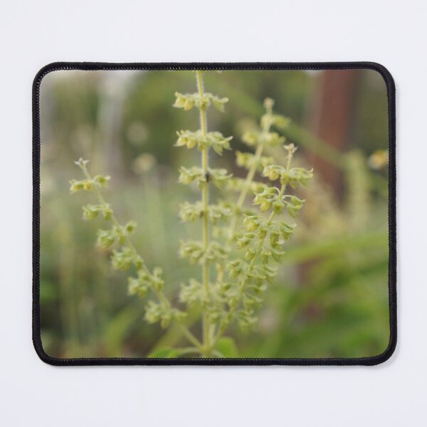 Item preview, basil leaves designed and sold by March Rider.