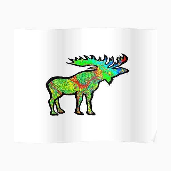 Psychedelic Charm Poster