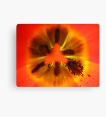 Abstract Tulip Canvas Print