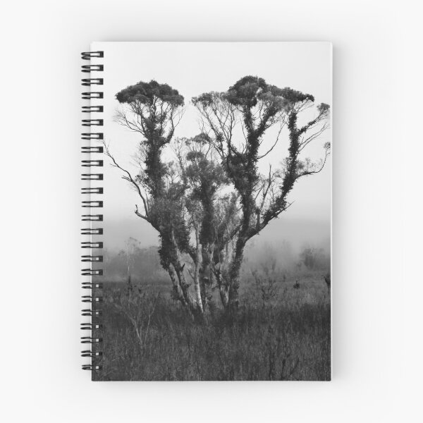 Item preview, Tarkine...Tasmania designed and sold by Angelika  Vogel.