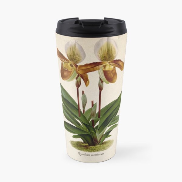 Cyripedium crossianum old plate Taza de viaje