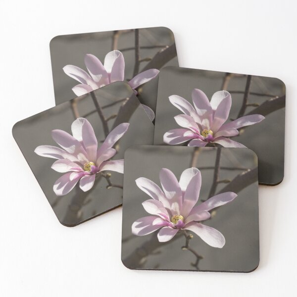 Item preview, Sunny Pink Magnolia Blossom designed and sold by Georgia Mizuleva.