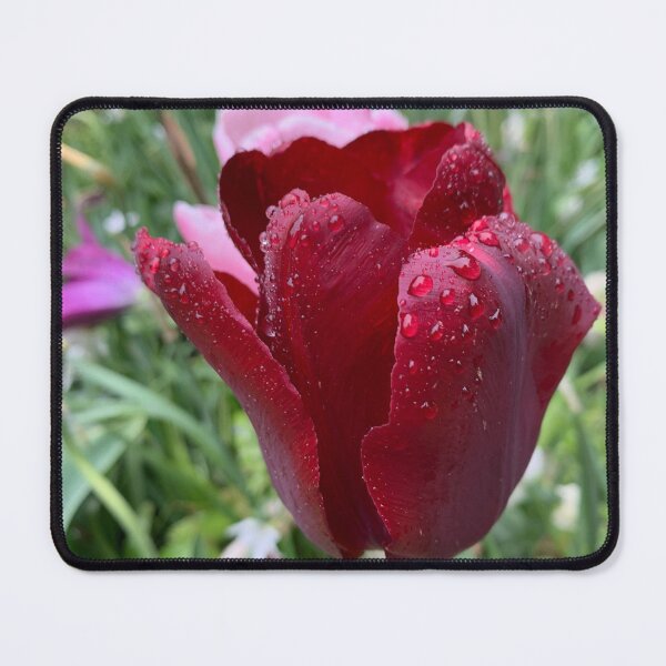 Item preview, Deep Red Tulip designed and sold by JuliaRuedy.