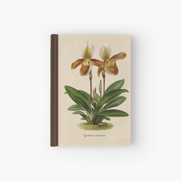 Cyripedium crossianum old plate Cuaderno de tapa dura
