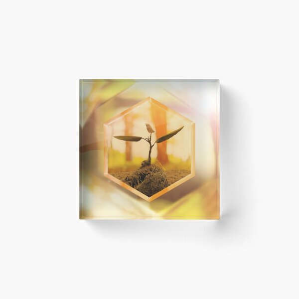 Item preview, Pagsibol (Growth) Shine in Gold Light designed and sold by SarahSison.