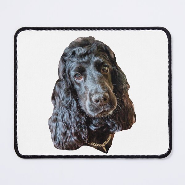 Item preview, Cocker Spaniel headshot designed and sold by Dalyndigital Photography.