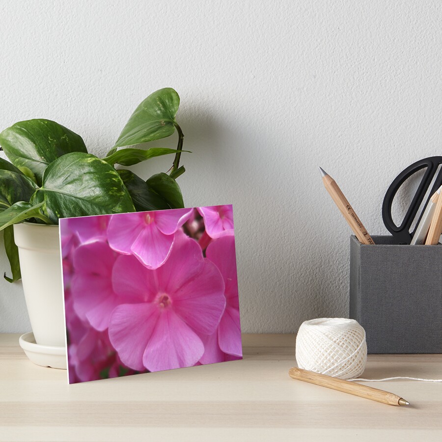 Pink passion Art Board Print