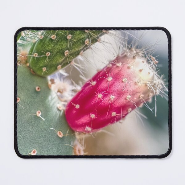Item preview, Prickly Pear Cactus  designed and sold by Alisonchambers2.