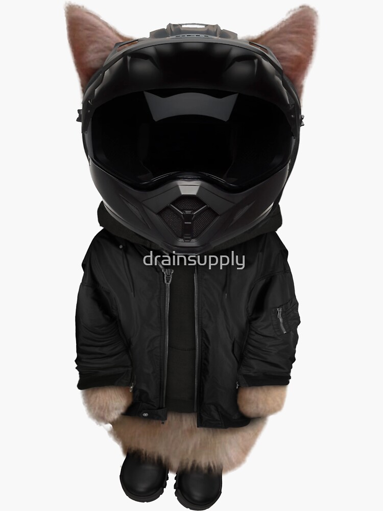 "Playboi Carti Narcissist Kitty (motorcycle helmet)" Sticker for Sale