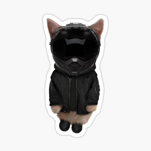 carti motorcycle helmet Carbon Fiber Lightweight SOA Style DOT Beanie Beanie Helmets And a combination of lightweight materials dissipates heat while protecting the rider. Playboi Carti Motorcycle Carti Dropping
