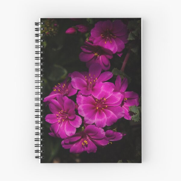 Item preview, A Vivid Succulent Bouquet in Bold Pink and Fuchsia designed and sold by Georgia Mizuleva.