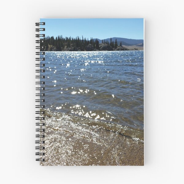 Item preview, Eleven Mile State Park designed and sold by BeeGarland.