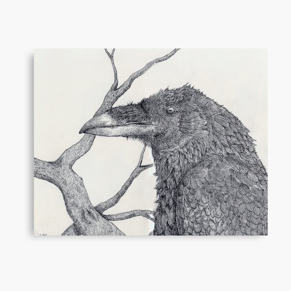 Raven Metal Print