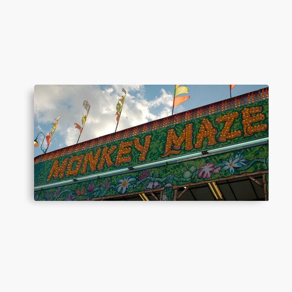 monkey maze Canvas Print