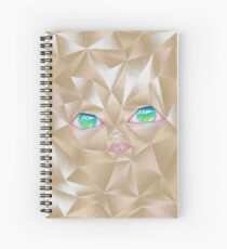 Crumpled Spiral Notebook
