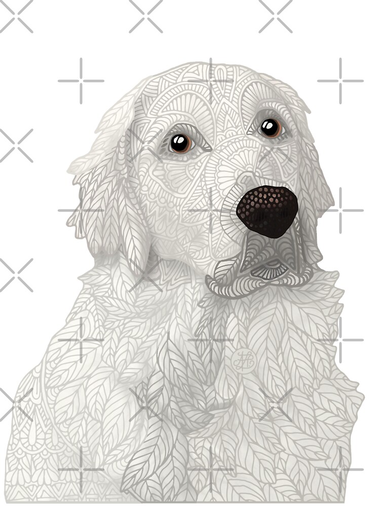 baby white retriever