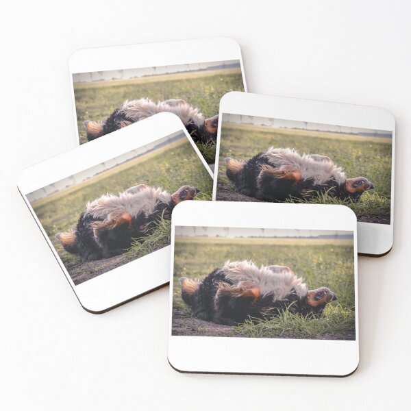 Item preview, Bernese funny dog, Bernese Mountain Dog Lovers designed and sold by Anna-Kik.