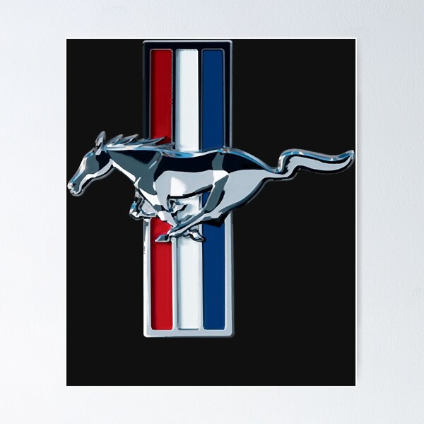 洋書 MUSTANG The Racing Thoroughbred Mustang : The Racing