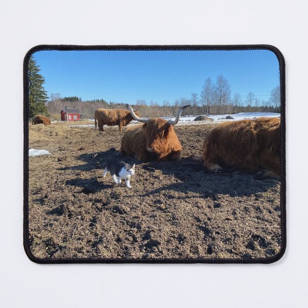 Item preview, Scottish Highland Cattle Cow and Cat 3300 designed and sold by SaarelaHighland.