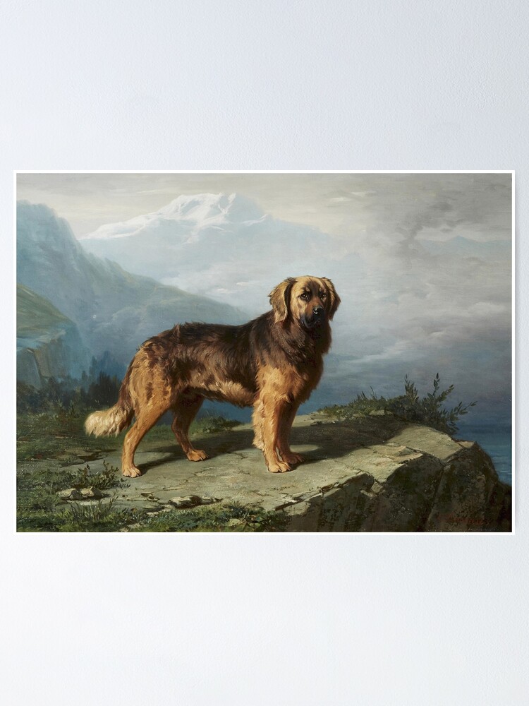 Alpine mastiff for store sale